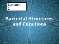 2nd lecture .pptx